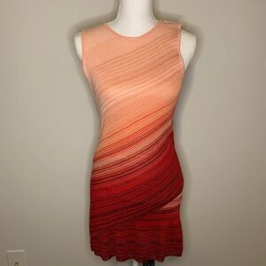 WHBM Ombré Knit Tunic